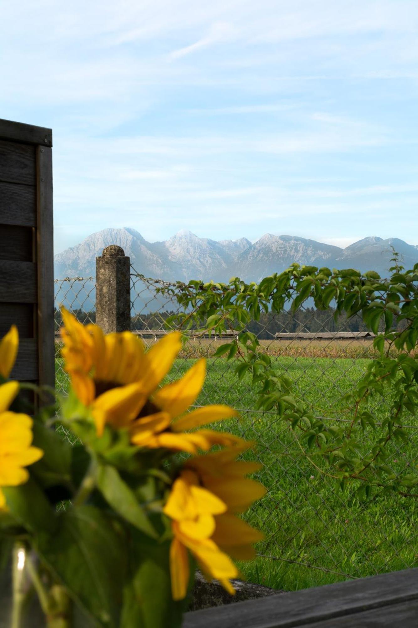 Glamping With A View Villa Smlednik Exterior photo
